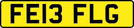 FE13FLG