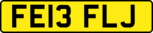 FE13FLJ