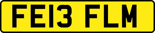 FE13FLM