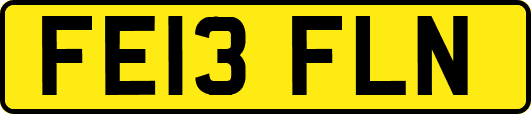 FE13FLN