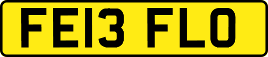 FE13FLO