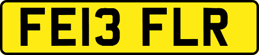FE13FLR