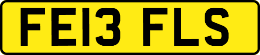 FE13FLS