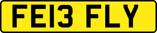 FE13FLY