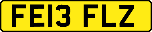 FE13FLZ