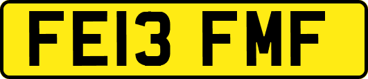 FE13FMF