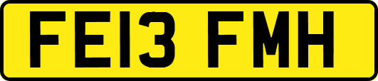 FE13FMH