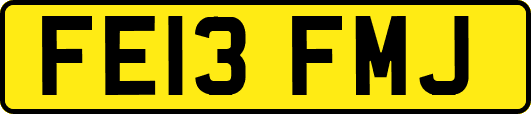 FE13FMJ