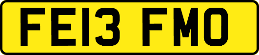 FE13FMO