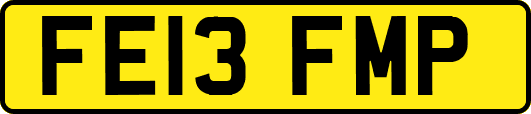 FE13FMP