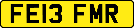 FE13FMR