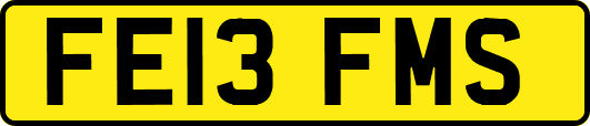 FE13FMS