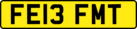 FE13FMT