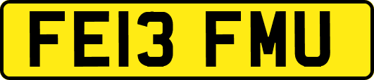 FE13FMU