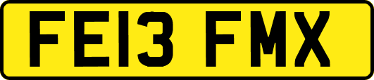 FE13FMX