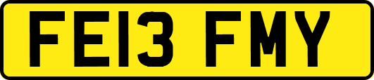 FE13FMY