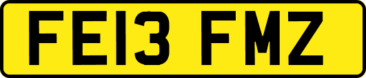 FE13FMZ