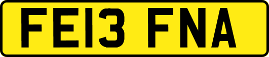 FE13FNA