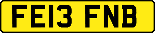 FE13FNB