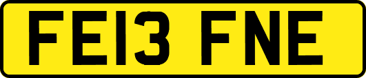 FE13FNE