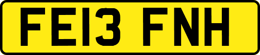 FE13FNH