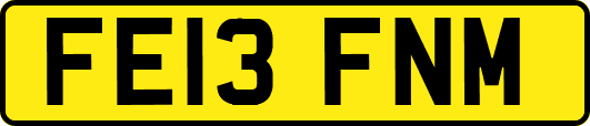 FE13FNM