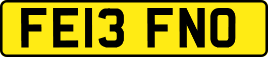 FE13FNO