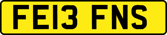 FE13FNS