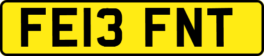 FE13FNT