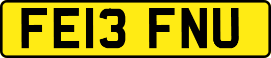 FE13FNU