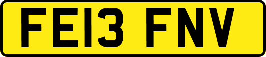 FE13FNV
