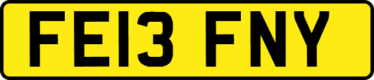 FE13FNY