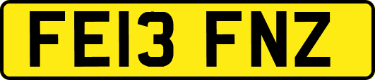 FE13FNZ