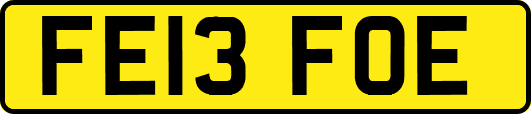 FE13FOE