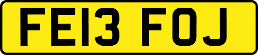 FE13FOJ
