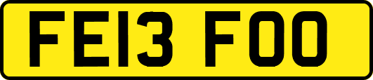 FE13FOO