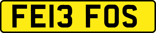 FE13FOS