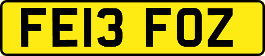 FE13FOZ