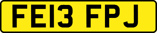 FE13FPJ