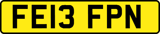 FE13FPN