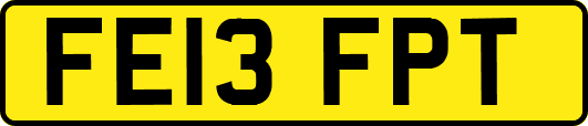 FE13FPT