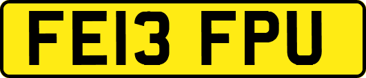FE13FPU
