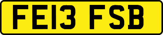FE13FSB
