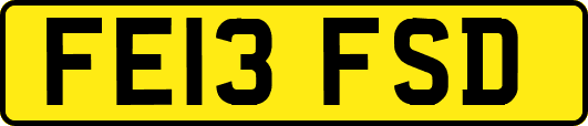 FE13FSD