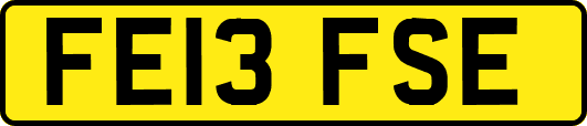 FE13FSE