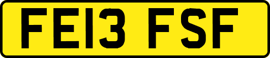 FE13FSF