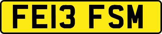 FE13FSM