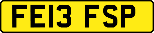 FE13FSP