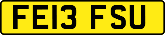 FE13FSU