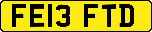 FE13FTD